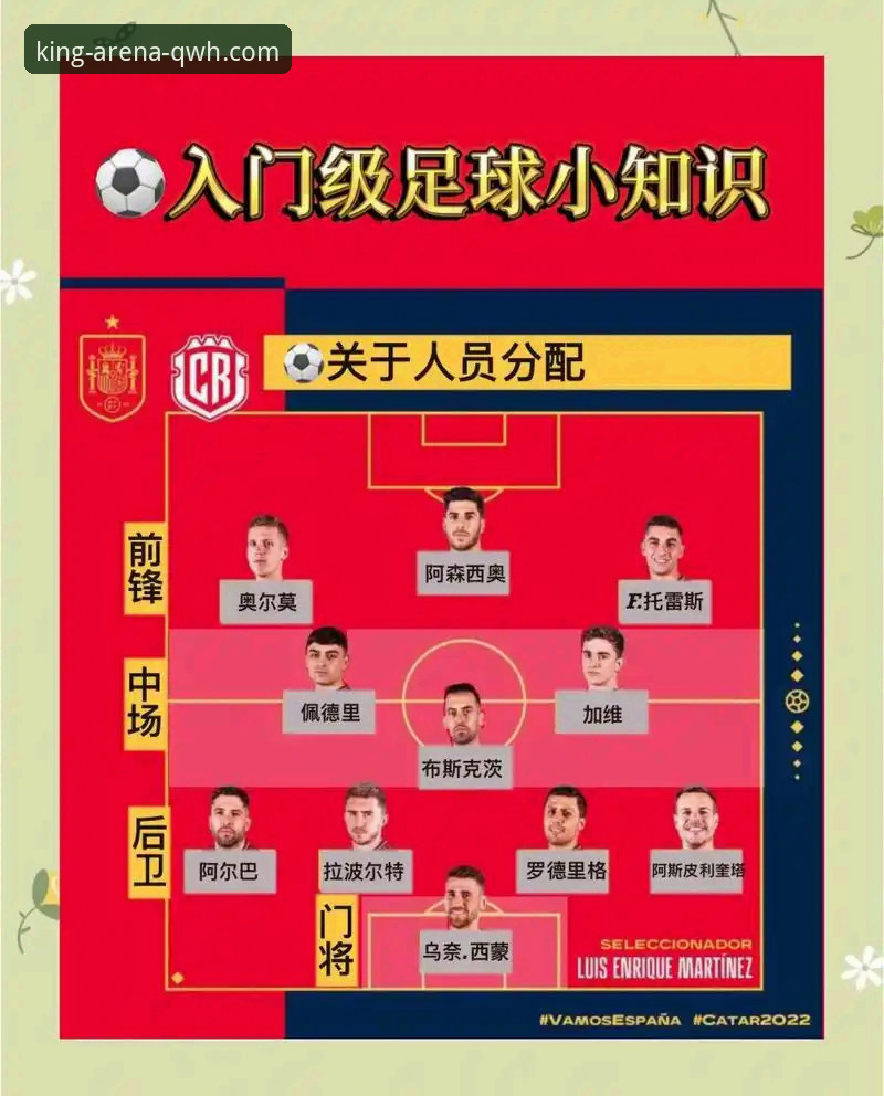 球王会赛事分析功能详解 波黑点球淘汰意大利晋级世界杯,球王会赛事分析功能详解
